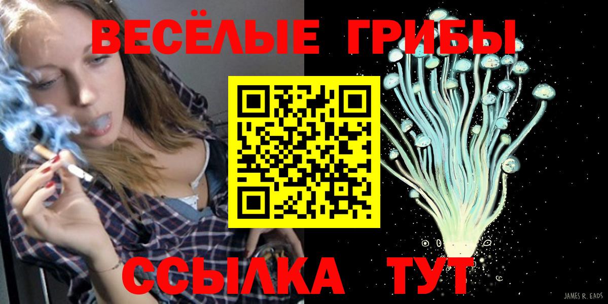 Галлюциногенные грибы ЛСД  Вход с VPN  где можно купить   Заречный 